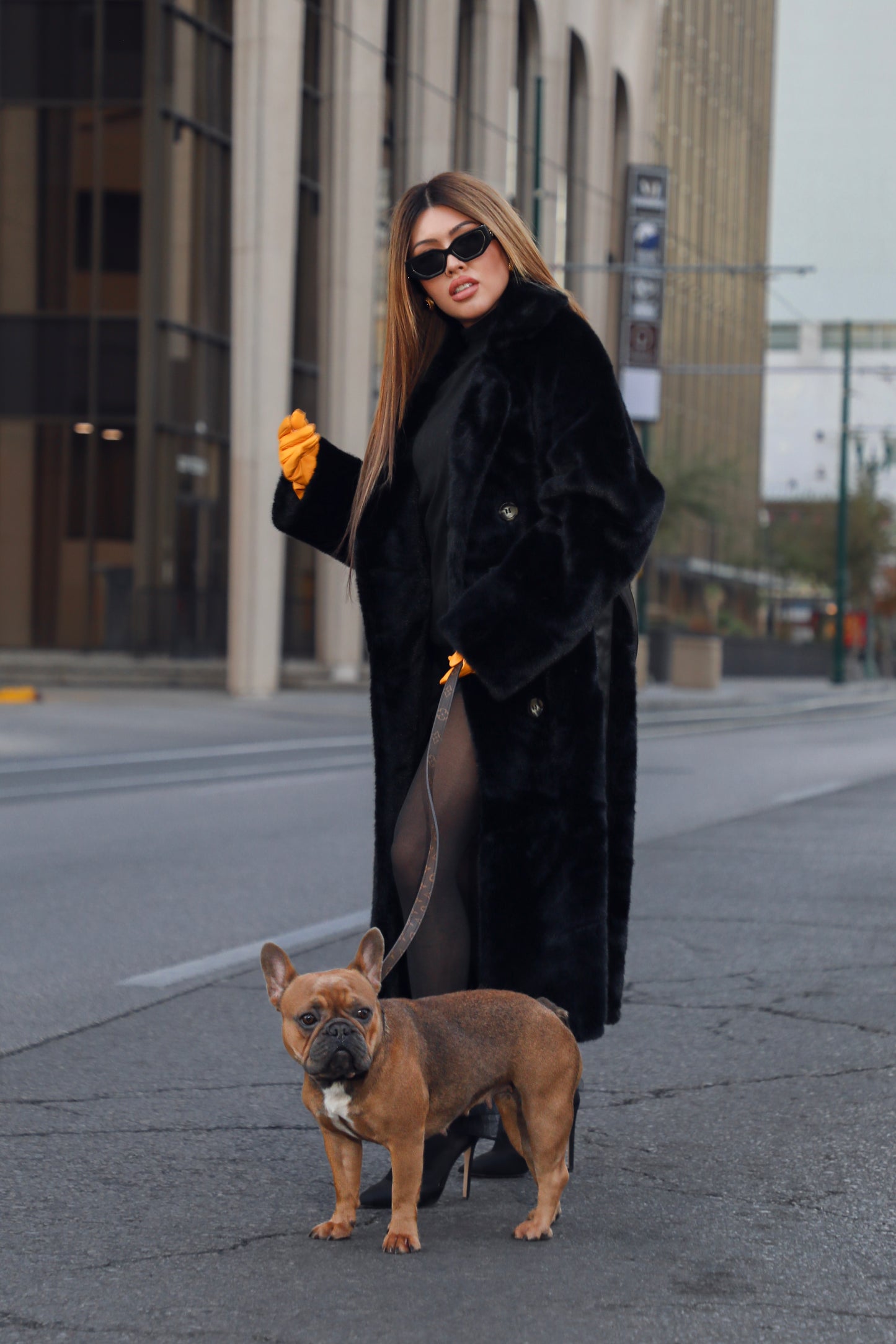 Kiwi- Black Coat