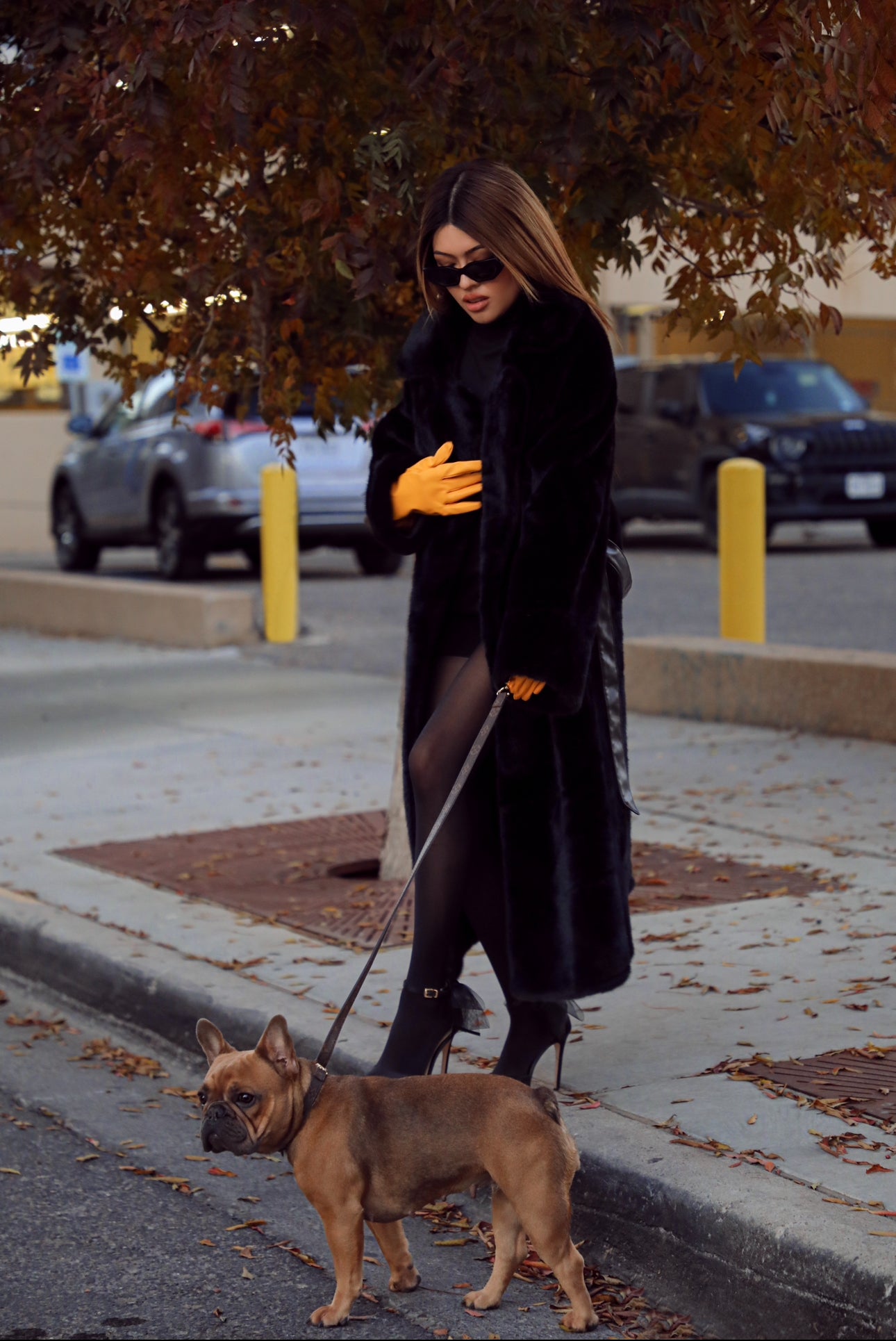 Kiwi- Black Coat