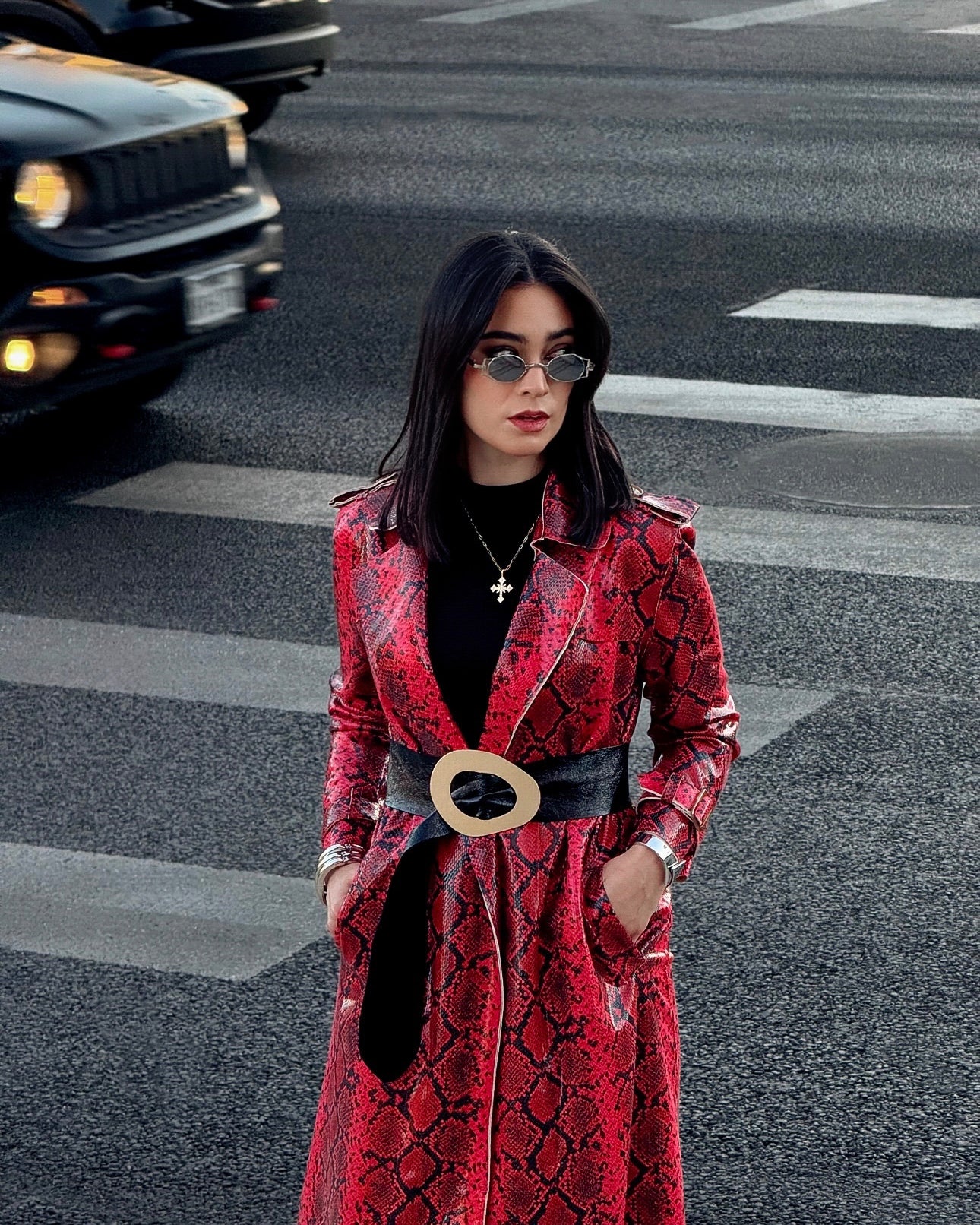 AC B Snake Print Coat