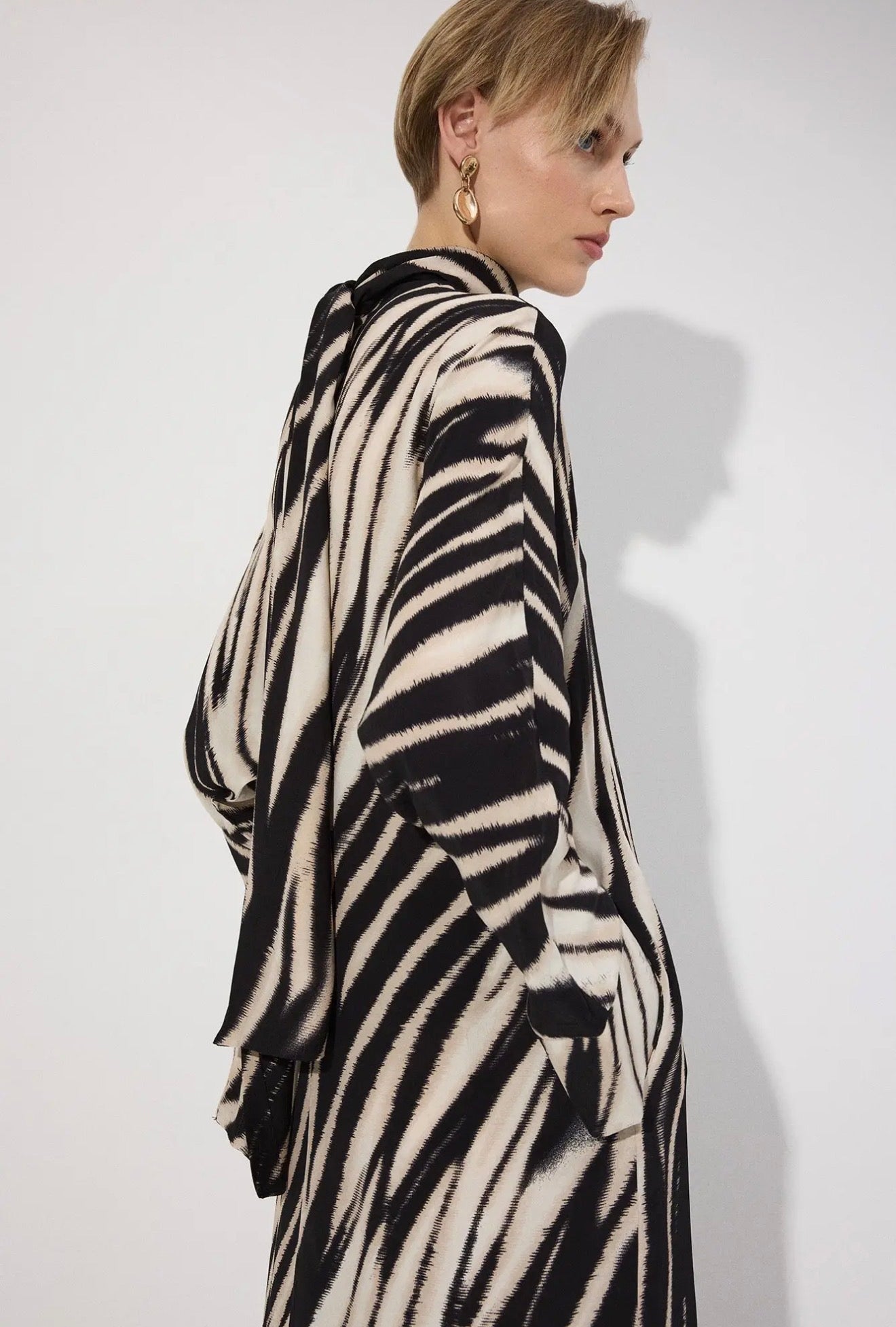 02 - Zebra Wave Maxi Dress