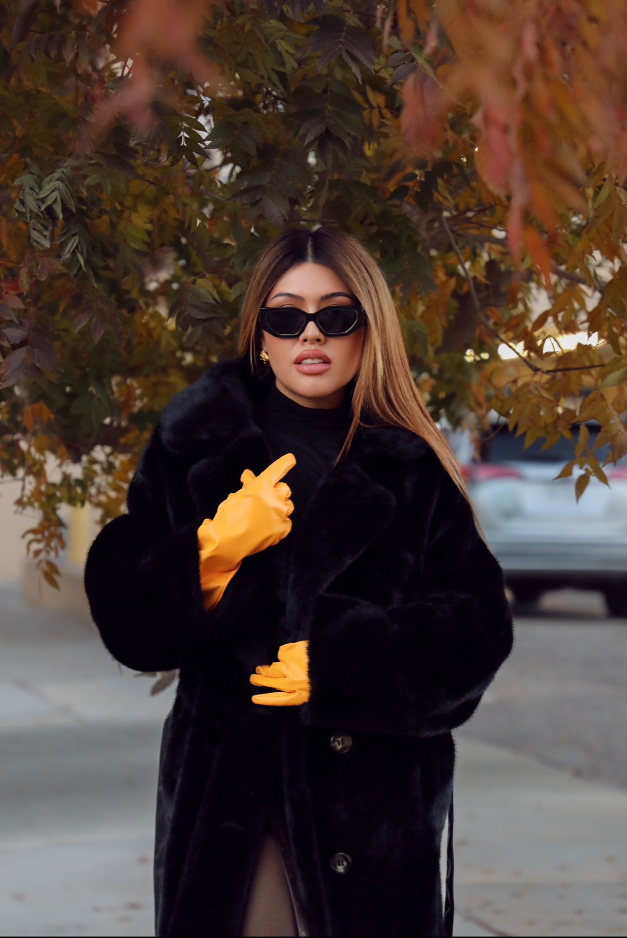 Kiwi- Black Coat